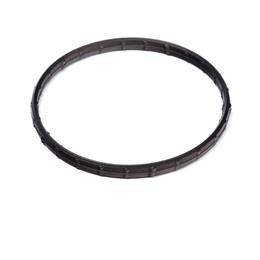 CH12165 - Thermostat seal