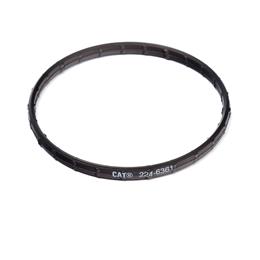 CH12165 - Thermostat seal