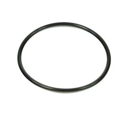2415H219 - Thermostat seal