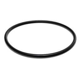 2415H219 - Thermostat seal
