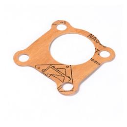 165996560 - Timing case blanking plate gasket