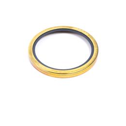 CH10056 - Thermostat seal