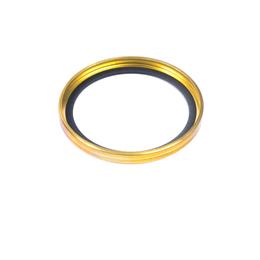 CH10056 - Thermostat seal