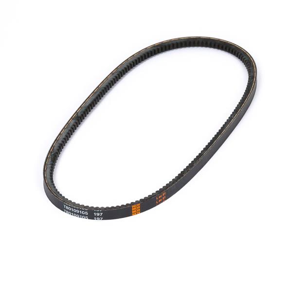 T80109105 | V Belt - 39.4in | Perkins