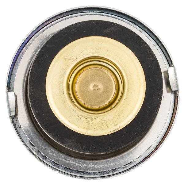 809/46 | RADIATOR CAP | CM20180214-08146-19568