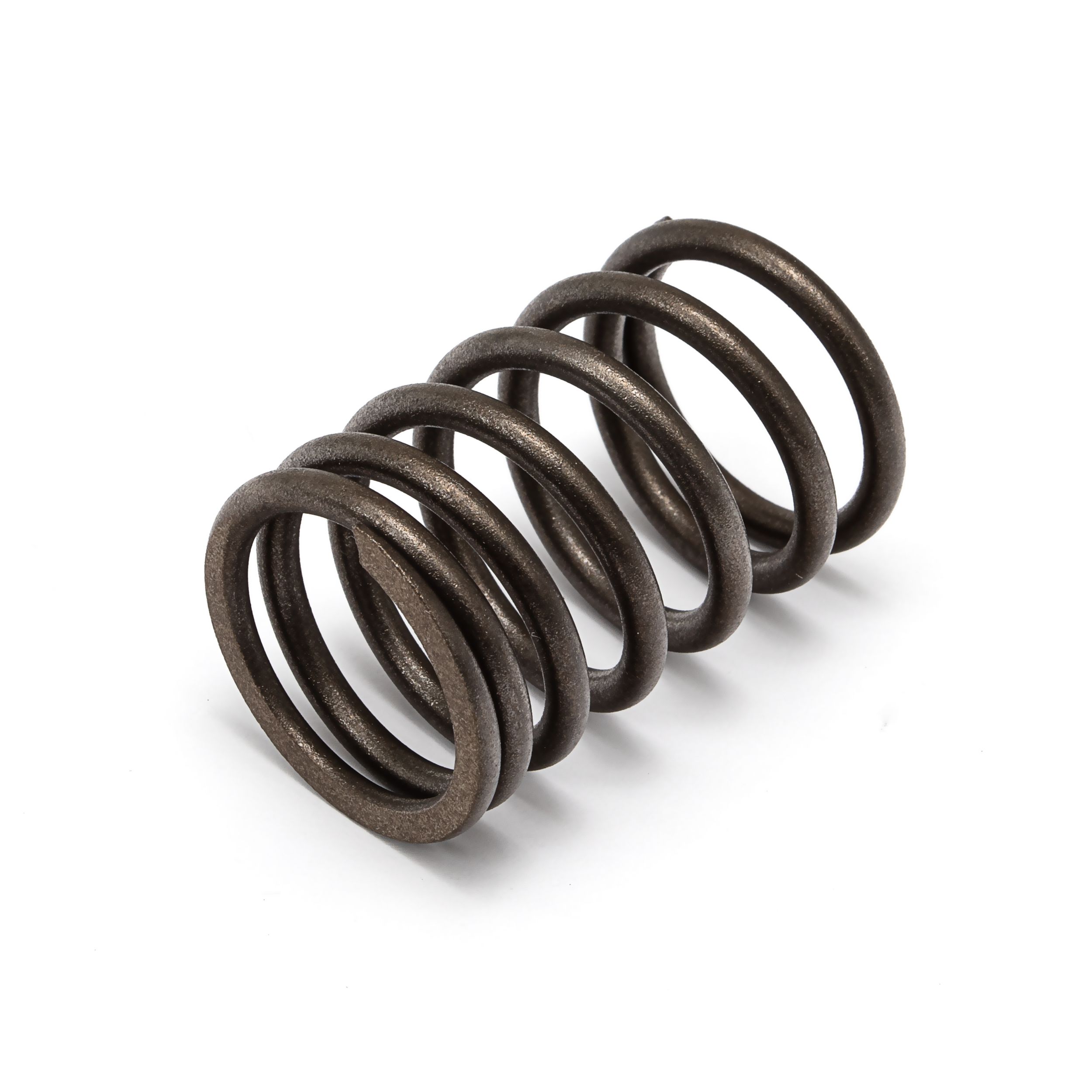 T417885 | VALVE SPRING | CM20240717-828a0-49b45