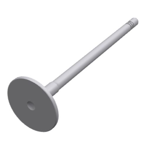 T419505 | INTAKE VALVE | CM20250407-3c24a-a8ec9
